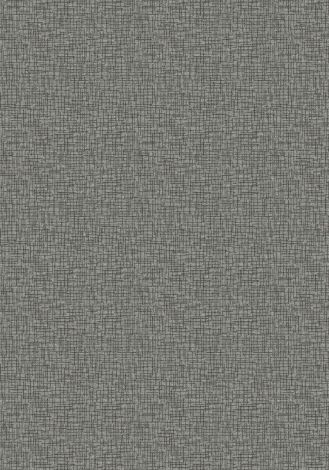 Between The Line Concrete Imagine Figurative Collection Area Rug