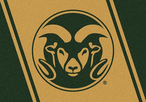 Colorado State College Team Spirit Rug