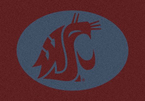 Washington State College Team Spirit Rug