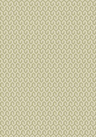 Fresh Take Aloe Imagine Figurative Collection Area Rug