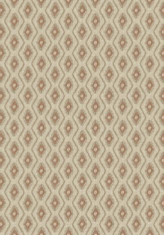 La Casa Warm Clay Imagine Figurative Collection Area Rug
