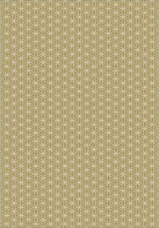 Lucida Pistachio Imagine Figurative Collection Area Rug