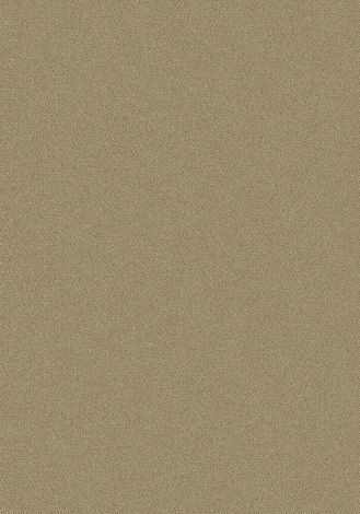 Merit Chamois Imagine Figurative Collection Area Rug