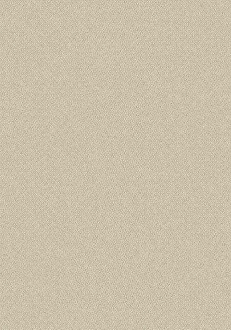 Merit Sand Imagine Figurative Collection Area Rug
