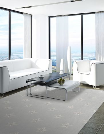 Northern Star Frost Imagine Figurative Collection Area Rug