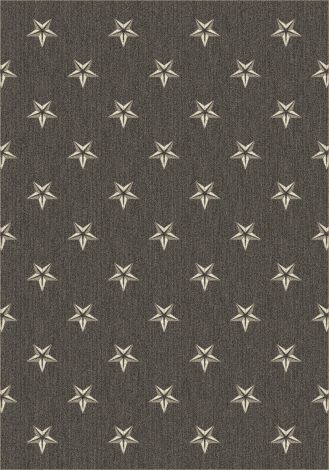 Northern Star Gunmetal Imagine Figurative Collection Area Rug