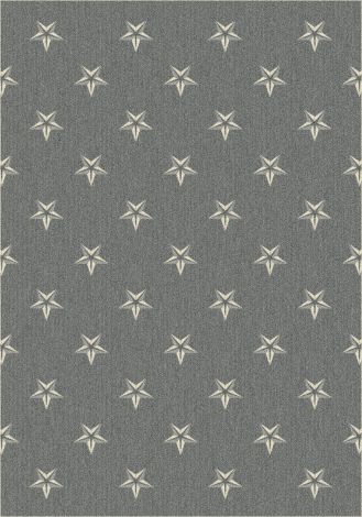 Northern Star Patriot Gray Imagine Figurative Collection Area Rug
