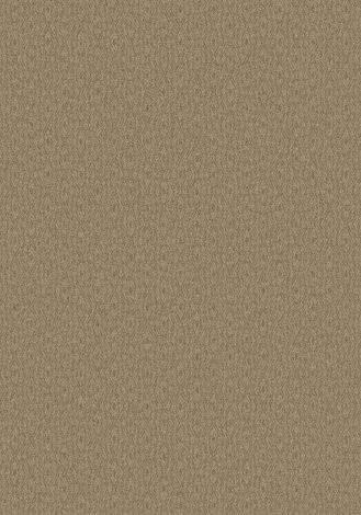 Pagosa Mesa Tan Imagine Figurative Collection Area Rug