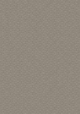 Pagosa Stone Imagine Figurative Collection Area Rug
