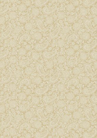Paisley Garden Daffodil Imagine Figurative Collection Area Rug
