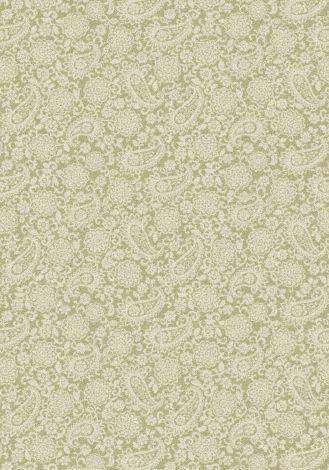 Paisley Garden Lemongrass Imagine Figurative Collection Area Rug