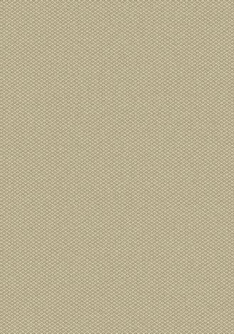 Parkdale Elemental Imagine Figurative Collection Area Rug