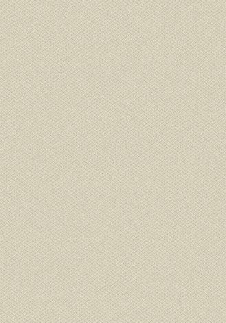 Parkdale Frost Imagine Figurative Collection Area Rug