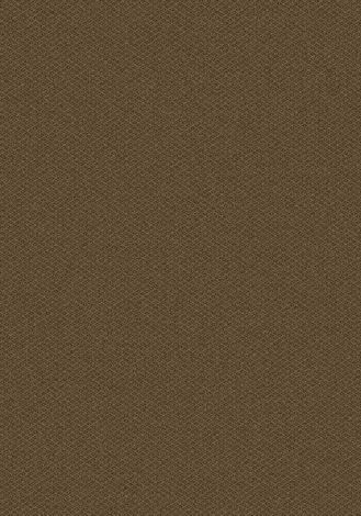 Parkdale Hope Chest Imagine Figurative Collection Area Rug
