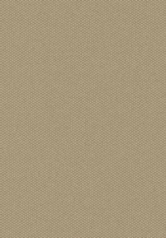 Parkdale Manila Imagine Figurative Collection Area Rug