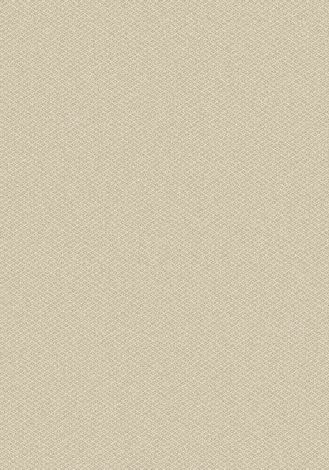 Parkdale Muslin Imagine Figurative Collection Area Rug