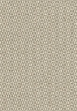Parkdale Taupe Imagine Figurative Collection Area Rug