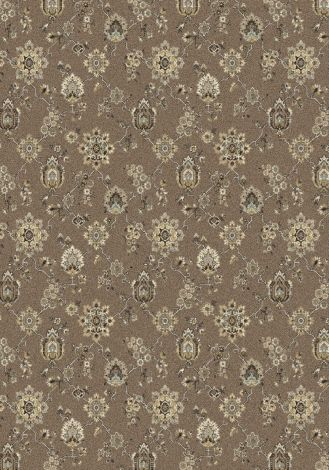 Pomeroy Driftwood Imagine Figurative Collection Area Rug