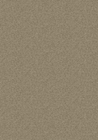 Tabinet Bronze Imagine Figurative Collection Area Rug