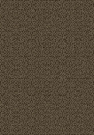 Treasured Bronze Imagine Figurative Collection Area Rug