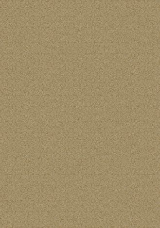 Treasured Desert Tan Imagine Figurative Collection Area Rug