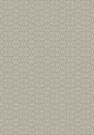 Treasured Soft Silver Imagine Figurative Collection Area Rug